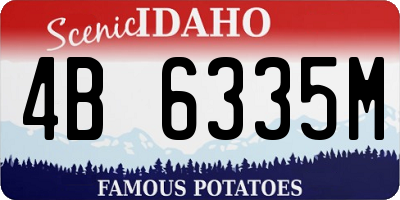ID license plate 4B6335M