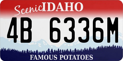 ID license plate 4B6336M