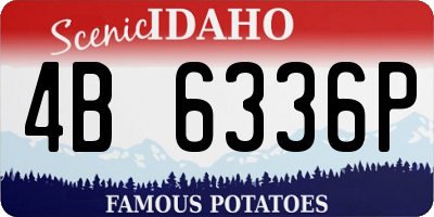 ID license plate 4B6336P