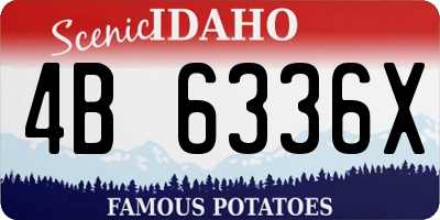 ID license plate 4B6336X