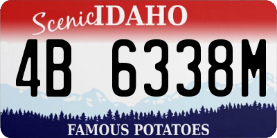 ID license plate 4B6338M