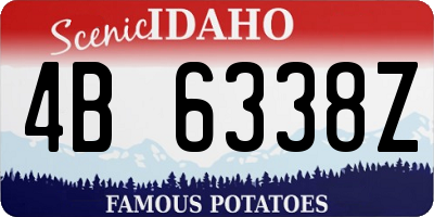 ID license plate 4B6338Z