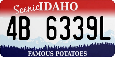 ID license plate 4B6339L