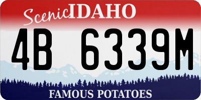 ID license plate 4B6339M