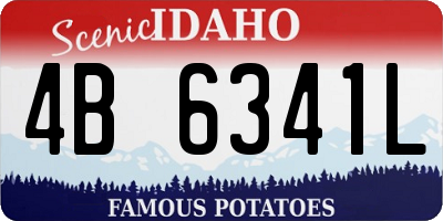 ID license plate 4B6341L