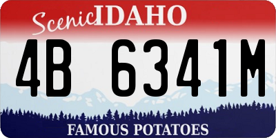 ID license plate 4B6341M