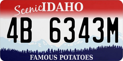 ID license plate 4B6343M