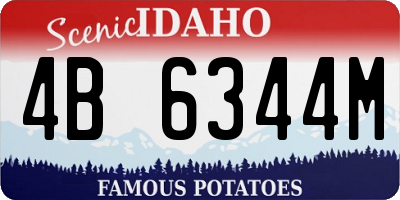 ID license plate 4B6344M