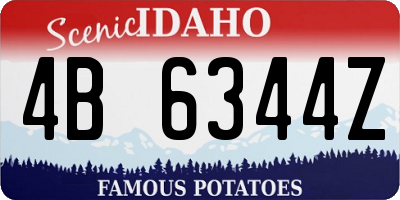 ID license plate 4B6344Z