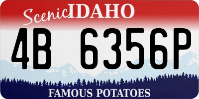 ID license plate 4B6356P