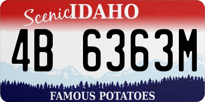ID license plate 4B6363M
