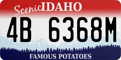 ID license plate 4B6368M