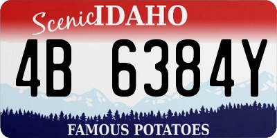 ID license plate 4B6384Y