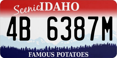 ID license plate 4B6387M