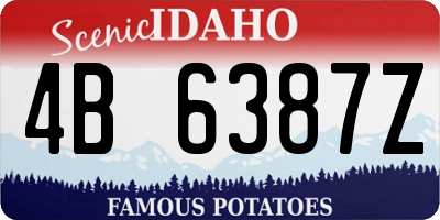ID license plate 4B6387Z