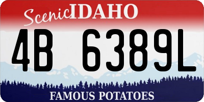 ID license plate 4B6389L
