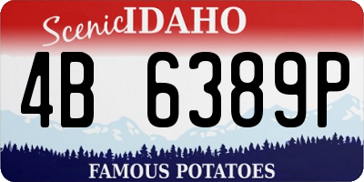 ID license plate 4B6389P