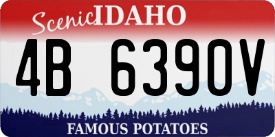 ID license plate 4B6390V
