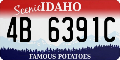 ID license plate 4B6391C