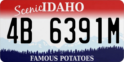 ID license plate 4B6391M