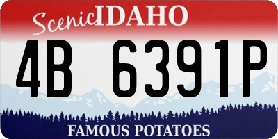 ID license plate 4B6391P