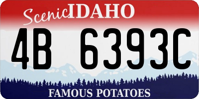 ID license plate 4B6393C