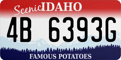 ID license plate 4B6393G