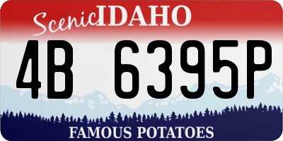 ID license plate 4B6395P