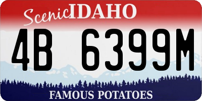 ID license plate 4B6399M