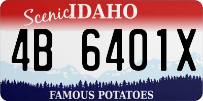 ID license plate 4B6401X