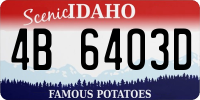 ID license plate 4B6403D