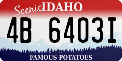 ID license plate 4B6403I