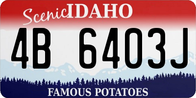 ID license plate 4B6403J