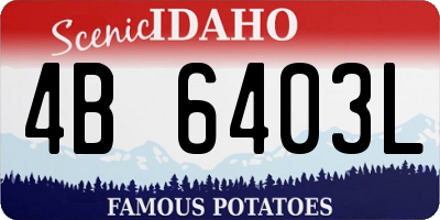 ID license plate 4B6403L