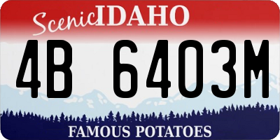 ID license plate 4B6403M