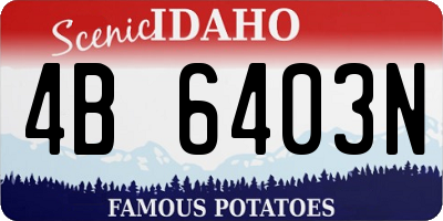 ID license plate 4B6403N