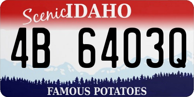 ID license plate 4B6403Q