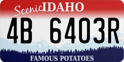 ID license plate 4B6403R