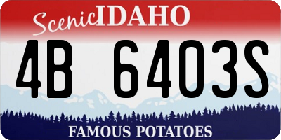 ID license plate 4B6403S