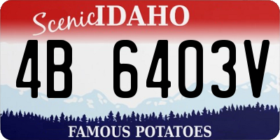ID license plate 4B6403V