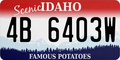 ID license plate 4B6403W