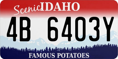 ID license plate 4B6403Y