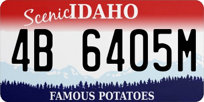 ID license plate 4B6405M