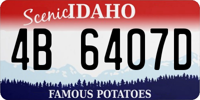 ID license plate 4B6407D