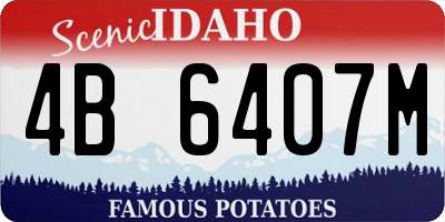 ID license plate 4B6407M