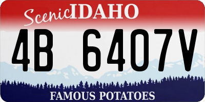 ID license plate 4B6407V