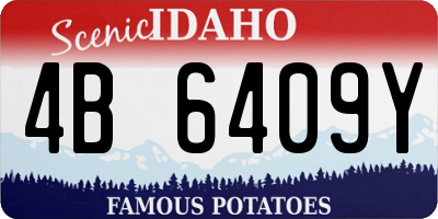 ID license plate 4B6409Y