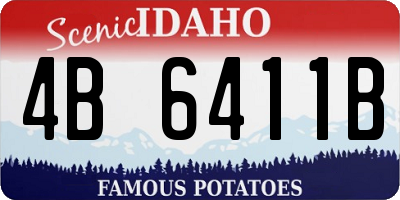 ID license plate 4B6411B