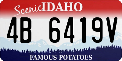 ID license plate 4B6419V