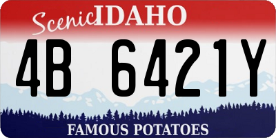 ID license plate 4B6421Y